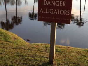 Yes, that is a gator enjoying the water beneath the sign.